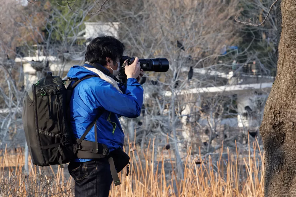 Man in blue jacket photographs birds outdoors with zoom lens